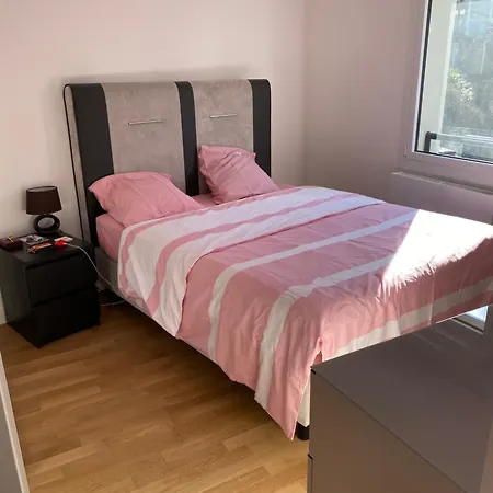 Du Centre Quarto em Acomodações Particulares Annemasse